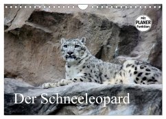 Der Schneeleopard (Wandkalender 2026 DIN A4 quer), CALVENDO Monatskalender Der Schneeleopard (Wandkalender 2026 DIN A4 quer), CALVENDO Monatskalender