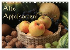 Cover Alte Apfelsorten (Wandkalender 2026 DIN A3 quer), CALVENDO Monatskalender