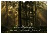 Max Dauthendey - Mit dem Wald durchs... - Bild 1