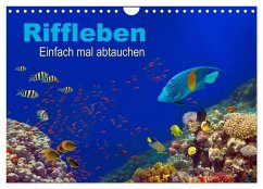 Riffleben - Einfach mal abtauchen (Wandkalender 2026 DIN A4 quer), CALVENDO Monatskalender