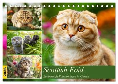 Scottish Fold. Zauberhafte Faltohrkatzen im Garten (Tischkalender 2026 DIN A5 quer), CALVENDO Monatskalender Scottish Fold. Zauberhafte Faltohrkatzen im Garten (Tischkalender 2026 DIN A5 quer), CALVENDO Monatskalender