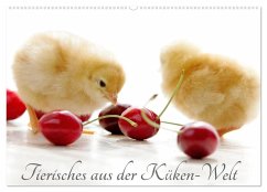 Tierisches aus der Küken-Welt (Wandkalender 2026 DIN A2 quer), CALVENDO Monatskalender Tierisches aus der Küken-Welt (Wandkalender 2026 DIN A2 quer), CALVENDO Monatskalender