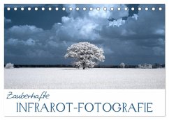 Cover Zauberhafte Infrarot-Fotografie (Tischkalender 2026 DIN A5 quer), CALVENDO Monatskalender