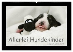 Allerlei Hundekinder (Wandkalender 2026 DIN A2 quer), CALVENDO Monatskalender Allerlei Hundekinder (Wandkalender 2026 DIN A2 quer), CALVENDO Monatskalender