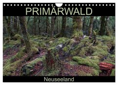 Cover Primärwald - Neuseeland (Wandkalender 2026 DIN A4 quer), CALVENDO Monatskalender