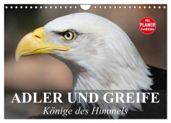 Adler und Greife. Könige des Himmels (Wandkalender 2026 DIN A4 quer), CALVENDO Monatskalender