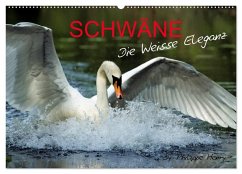 Cover SCHWÄNE. (Wandkalender 2026 DIN A2 quer), CALVENDO Monatskalender