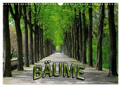 Bäume 2026 (Wandkalender 2026 DIN A3 quer), CALVENDO Monatskalender