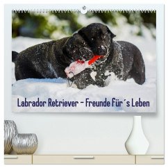 Labrador Retriever - Freunde für´s Leben (hochwertiger Premium Wandkalender 2026 DIN A2 quer), Kunstdruck in Hochglanz Labrador Retriever - Freunde für´s Leben (hochwertiger Premium Wandkalender 2026 DIN A2 quer), Kunstdruck in Hochglanz