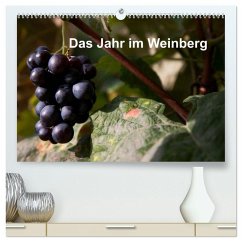 Das Jahr im Weinberg (hochwertiger Premium Wandkalender 2026 DIN A2 quer), Kunstdruck in Hochglanz Das Jahr im Weinberg (hochwertiger Premium Wandkalender 2026 DIN A2 quer), Kunstdruck in Hochglanz