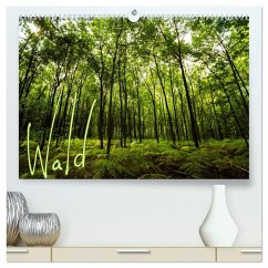 Wald (hochwertiger Premium Wandkalender 2026 DIN A2 quer), Kunstdruck in Hochglanz Wald (hochwertiger Premium Wandkalender 2026 DIN A2 quer), Kunstdruck in Hochglanz