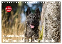 ausdrucksvolle Holländische Schäferhunde (Wandkalender 2026 DIN A4 quer), CALVENDO Monatskalender ausdrucksvolle Holländische Schäferhunde (Wandkalender 2026 DIN A4 quer), CALVENDO Monatskalender