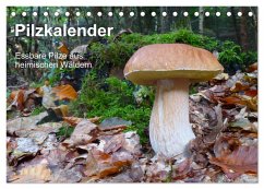 Pilzkalender (Tischkalender 2026 DIN A5 quer), CALVENDO Monatskalender Pilzkalender (Tischkalender 2026 DIN A5 quer), CALVENDO Monatskalender