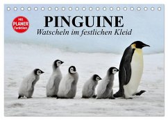Pinguine - Watscheln im festlichen Kleid (Tischkalender 2026 DIN A5 quer), CALVENDO Monatskalender