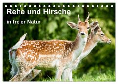 Rehe und Hirsche in freier Natur (Tischkalender 2026 DIN A5 quer), CALVENDO Monatskalender