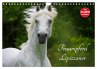 Traumpferd Lipizzaner (Wandkalender... - Bild 1