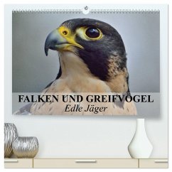 Cover Falken und Greifvögel. Edle Jäger (hochwertiger Premium Wandkalender 2026 DIN A2 quer), Kunstdruck in Hochglanz