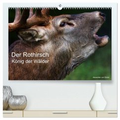 Cover Der Rothirsch, König der Wälder (hochwertiger Premium Wandkalender 2026 DIN A2 quer), Kunstdruck in Hochglanz