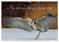 Cover Aus dem Leben der Graureiher (Wandkalender 2026 DIN A2 quer), CALVENDO Monatskalender