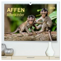 Affen - Affenkinder (hochwertiger Premium Wandkalender 2026 DIN A2 quer), Kunstdruck in Hochglanz