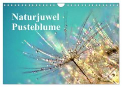 Naturjuwel Pusteblume (Wandkalender 2026 DIN A4 quer), CALVENDO Monatskalender