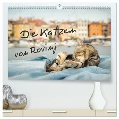 Die Katzen von Rovinj (hochwertiger Premium Wandkalender 2026 DIN A2 quer), Kunstdruck in Hochglanz