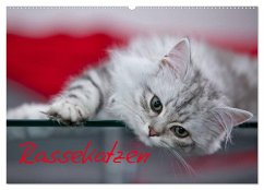 Rassekatzen (Wandkalender 2026 DIN A2 quer), CALVENDO Monatskalender Rassekatzen (Wandkalender 2026 DIN A2 quer), CALVENDO Monatskalender