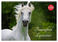 Cover Traumpferd Lipizzaner (Wandkalender 2026 DIN A3 quer), CALVENDO Monatskalender