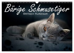 Cover Bärige Schmusetiger - Britisch Kurzhaar (Wandkalender 2026 DIN A3 quer), CALVENDO Monatskalender