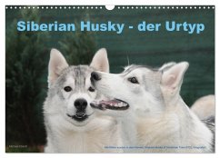 Siberian Husky - der Urtyp (Wandkalender 2026 DIN A3 quer), CALVENDO Monatskalender Siberian Husky - der Urtyp (Wandkalender 2026 DIN A3 quer), CALVENDO Monatskalender