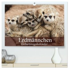 Erdmännchen (hochwertiger Premium Wandkalender 2026 DIN A2 quer), Kunstdruck in Hochglanz Cover Erdmännchen (hochwertiger Premium Wandkalender 2026 DIN A2 quer), Kunstdruck in Hochglanz
