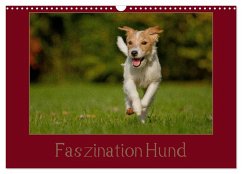 Faszination Hund (Wandkalender 2026 DIN A3 quer), CALVENDO Monatskalender Faszination Hund (Wandkalender 2026 DIN A3 quer), CALVENDO Monatskalender
