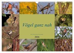 Vögel ganz nah (Wandkalender 2026 DIN A3 quer), CALVENDO Monatskalender Vögel ganz nah (Wandkalender 2026 DIN A3 quer), CALVENDO Monatskalender