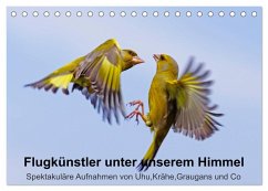 Flugkünstler unter unserem Himmel - Spektakuläre Aufnahmen von Uhu,Krähe,Graugans und Co (Tischkalender 2026 DIN A5 quer), CALVENDO Monatskalender