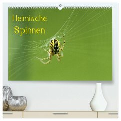 Heimische Spinnen (hochwertiger Premium Wandkalender 2026 DIN A2 quer), Kunstdruck in Hochglanz