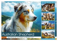 Australian Shepherd. Wanderfreude auf Pfoten im Bergsommer (Wandkalender 2026 DIN A4 quer), CALVENDO Monatskalender