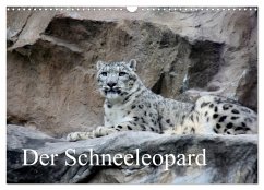 Der Schneeleopard (Wandkalender 2026 DIN A3 quer), CALVENDO Monatskalender Der Schneeleopard (Wandkalender 2026 DIN A3 quer), CALVENDO Monatskalender