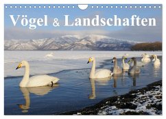 Vögel & Landschaften (Wandkalender 2026 DIN A4 quer), CALVENDO Monatskalender