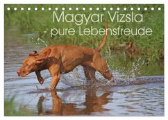 Cover Magyar Vizsla - pure Lebensfreude (Tischkalender 2026 DIN A5 quer), CALVENDO Monatskalender