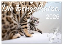 Cover Die Bengalkatze. Edition Jungtiere (Wandkalender 2026 DIN A4 quer), CALVENDO Monatskalender