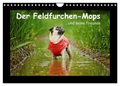 Der Feldfurchen-Mops (Wandkalender 2026 DIN A4 quer), CALVENDO Monatskalender Der Feldfurchen-Mops (Wandkalender 2026 DIN A4 quer), CALVENDO Monatskalender