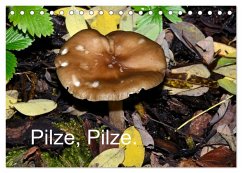 Pilze, Pilze (Tischkalender 2026 DIN A5 quer), CALVENDO Monatskalender Pilze, Pilze (Tischkalender 2026 DIN A5 quer), CALVENDO Monatskalender