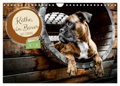 Cover Käthe - ein Boxer mit Charme (Wandkalender 2026 DIN A4 quer), CALVENDO Monatskalender