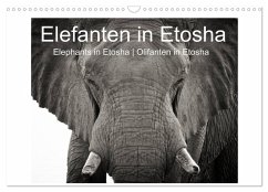 Elefanten in Etosha (Wandkalender 2026 DIN A3 quer), CALVENDO Monatskalender Elefanten in Etosha (Wandkalender 2026 DIN A3 quer), CALVENDO Monatskalender