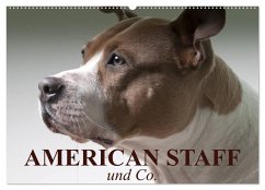 Cover American Staff und Co. (Wandkalender 2026 DIN A2 quer), CALVENDO Monatskalender