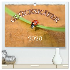 Marienkäfer 2026 (hochwertiger Premium Wandkalender 2026 DIN A2 quer), Kunstdruck in Hochglanz
