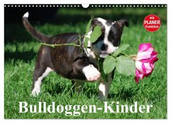 Bulldoggen-Kinder (Wandkalender 2026 DIN A3 quer), CALVENDO Monatskalender