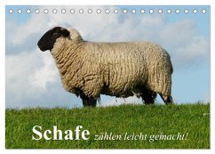 Cover Schafe zählen leicht gemacht! (Tischkalender 2026 DIN A5 quer), CALVENDO Monatskalender