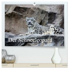 Der Schneeleopard (hochwertiger Premium Wandkalender 2026 DIN A2 quer), Kunstdruck in Hochglanz Der Schneeleopard (hochwertiger Premium Wandkalender 2026 DIN A2 quer), Kunstdruck in Hochglanz