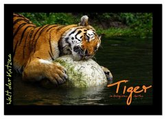 Cover Welt der Katzen - Tiger (Wandkalender 2026 DIN A3 quer), CALVENDO Monatskalender